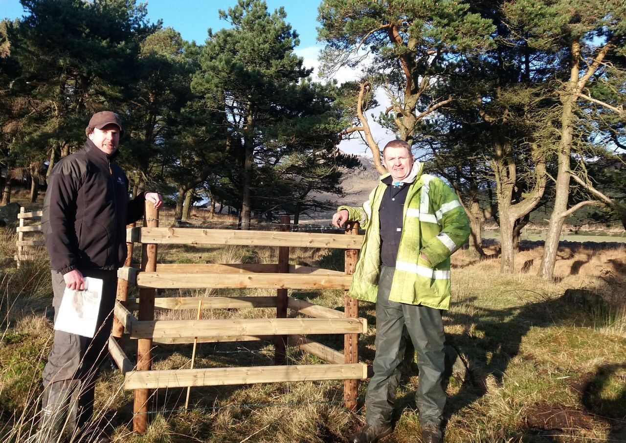 Woodland Trust helps tree restoration on farmland near Kilkeel