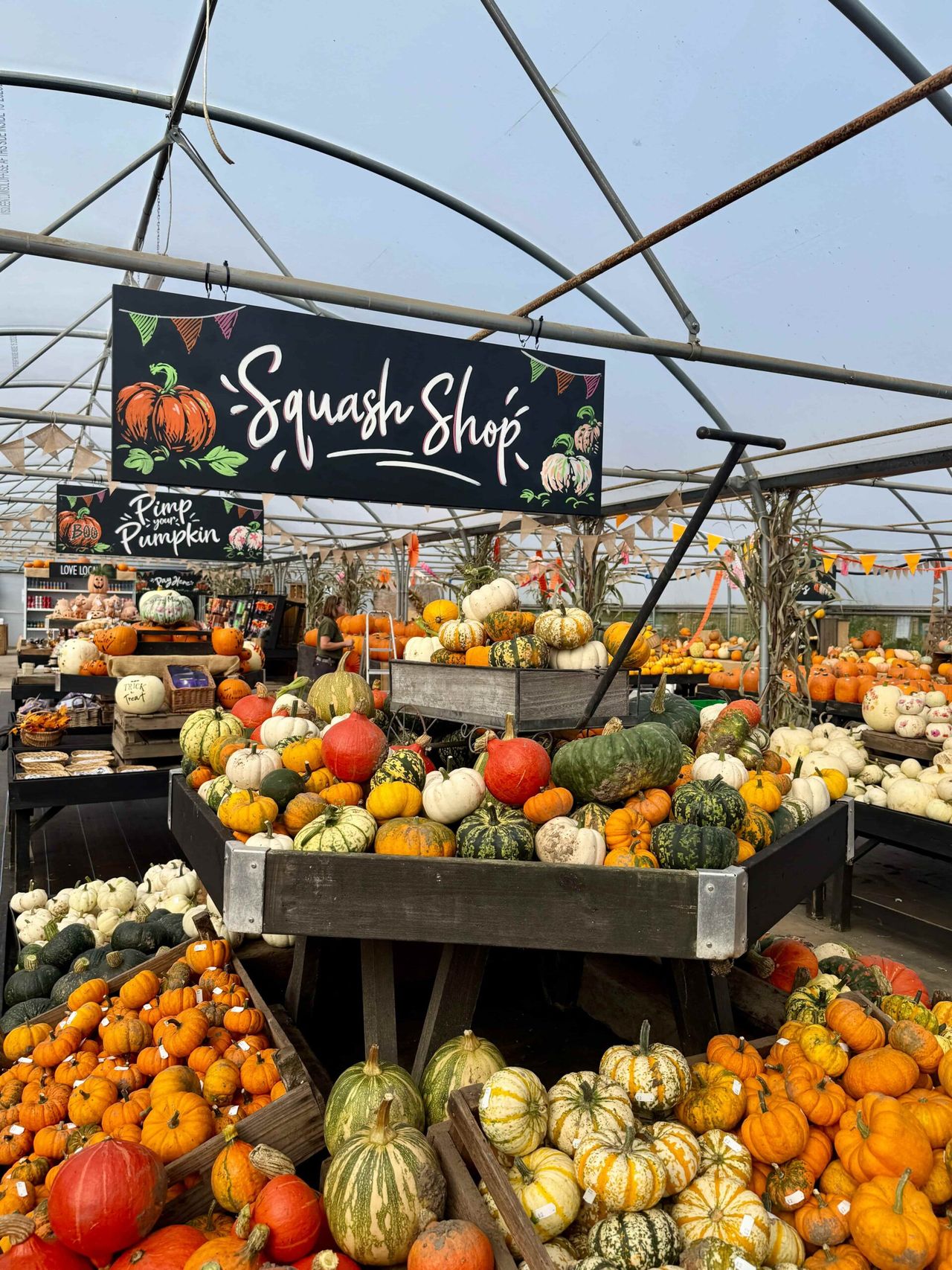 Govt-funded course providing farm businesses with 'Help to Grow'