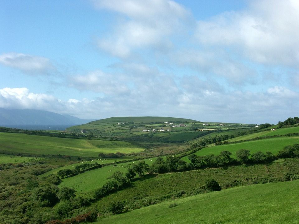Agriculture Bill back on the table, says ALA
