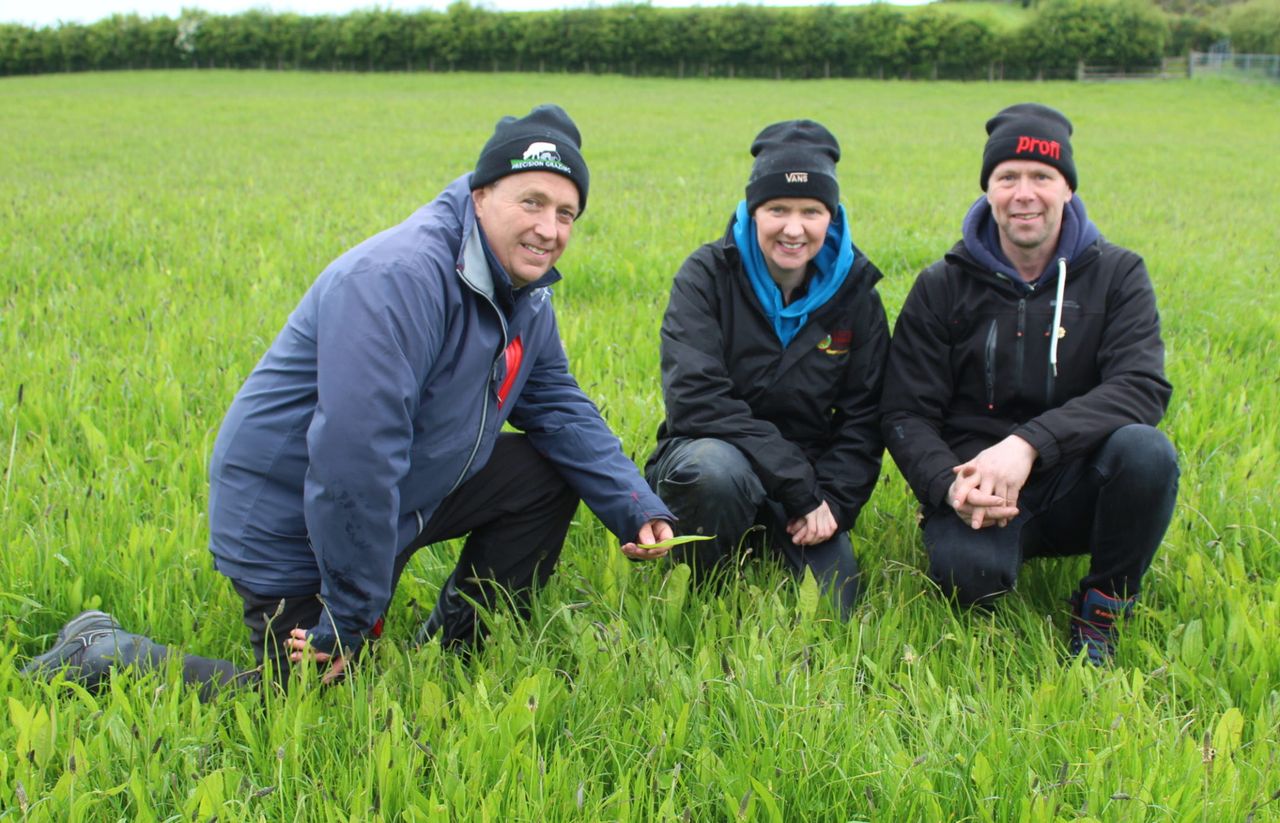 Opinion: ARCZero project – beacon of hope for agriculture in NI