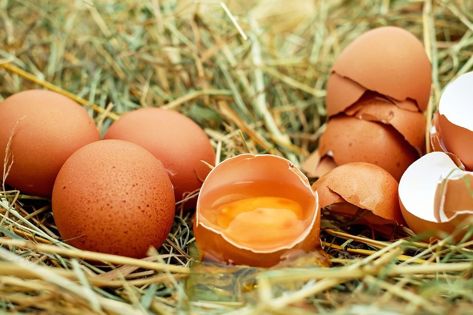 Aldi sells most British free-range eggs of all UK supermarkets
