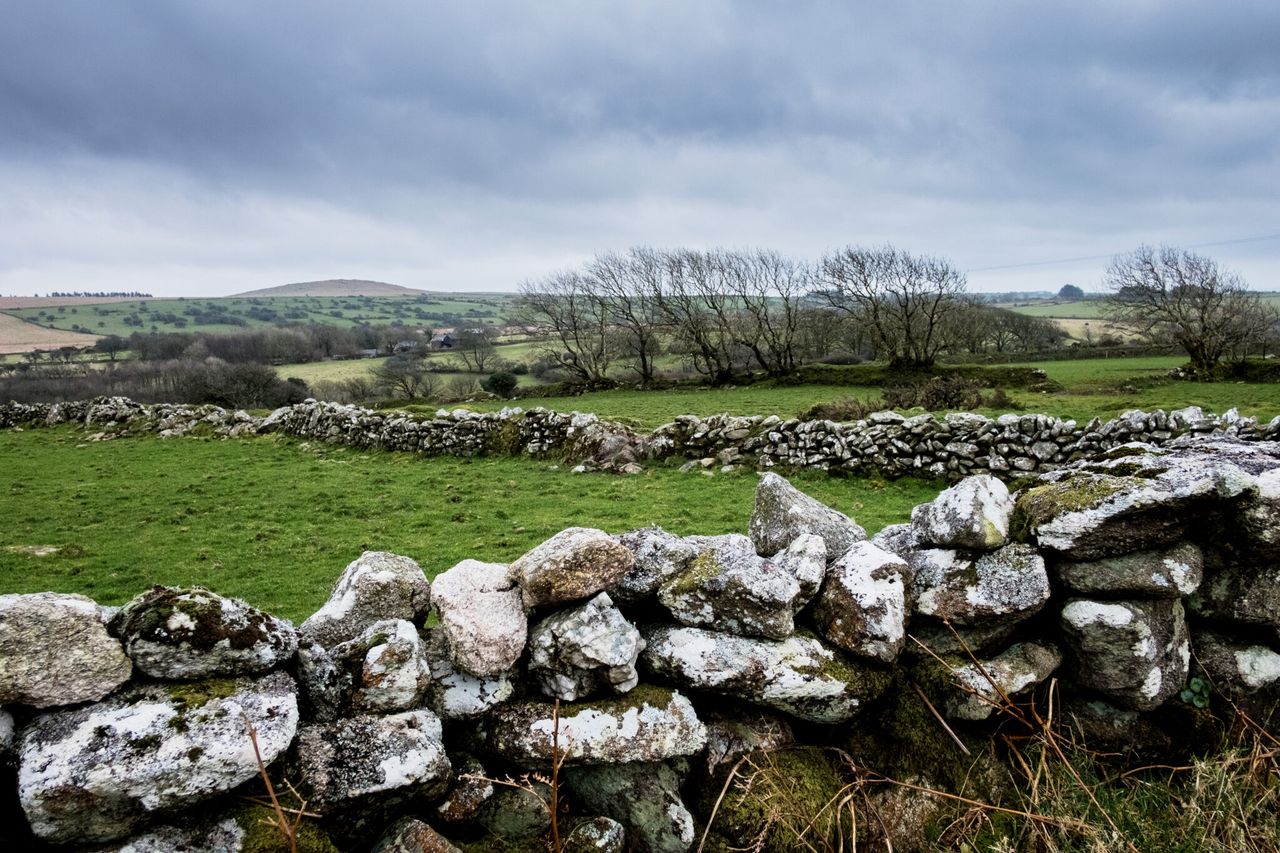 Cost of rural crime in Northern Ireland falls by over 20% – report