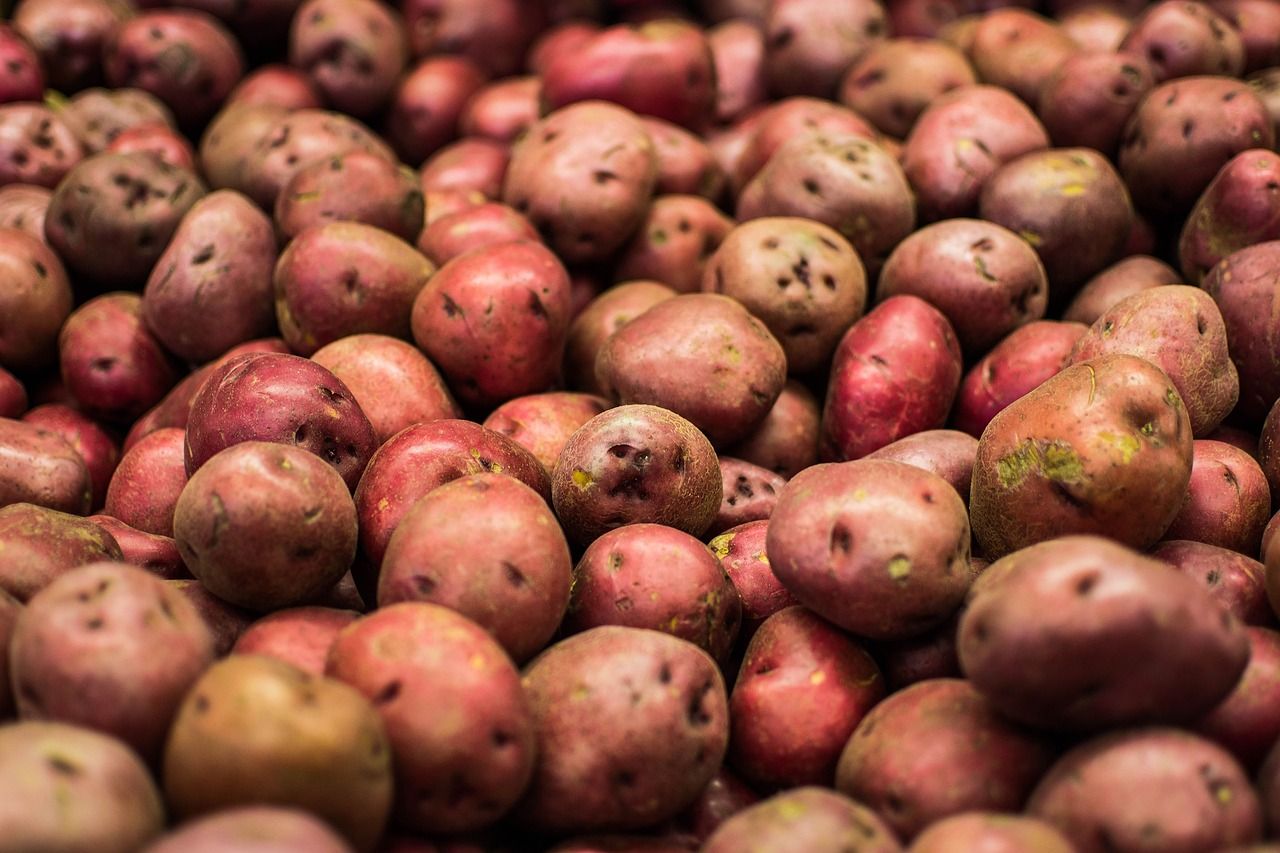 Potato growers need to be ‘strong sellers, not simply price takers’