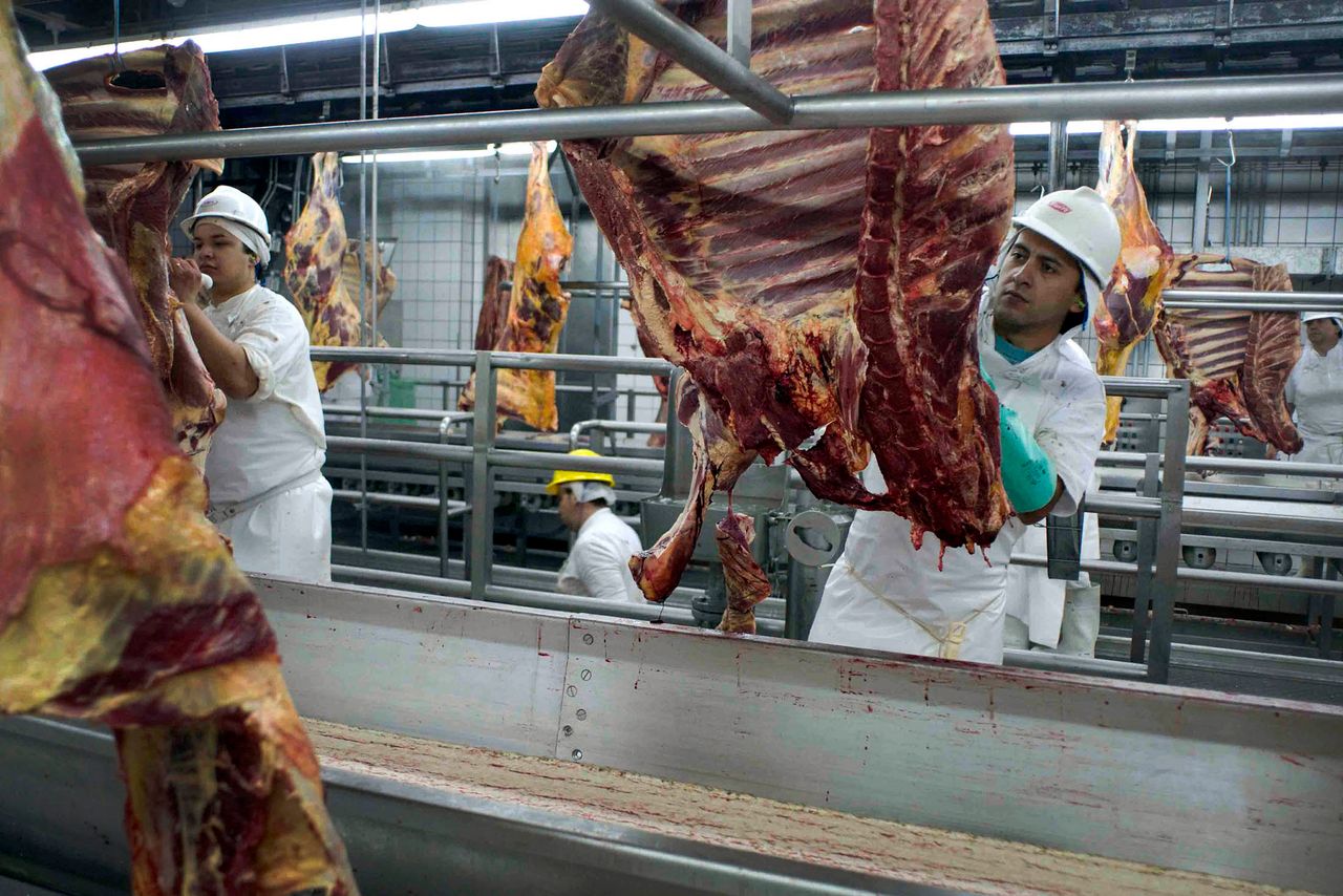 EU blocks imports from 4 Brazilian meat plants, as crisis unfolds
