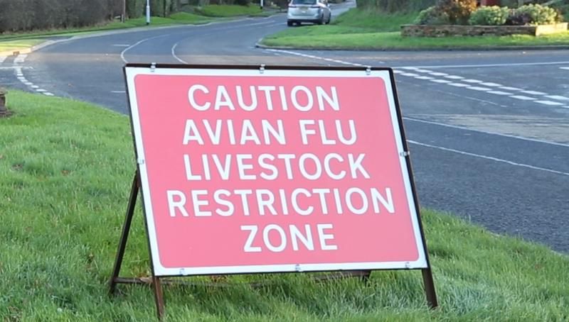 Avian influenza of the H5N8 strain confirmed on a farm in North Yorkshire