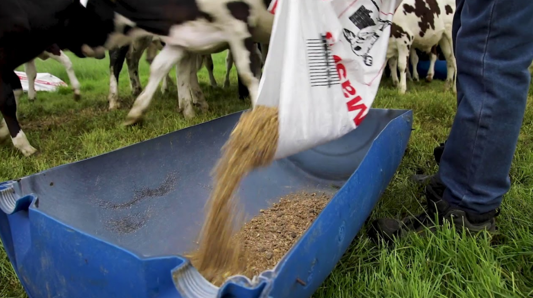 Dairy cost of production index hits trigger point a second time this year