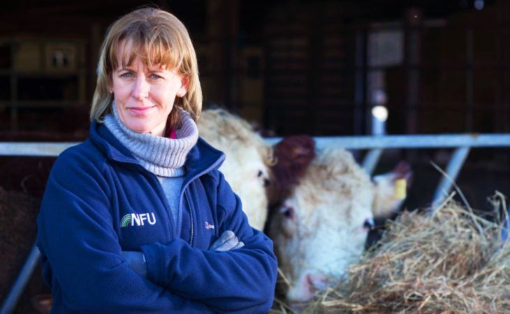 NFU has gotten its principles all wrong
