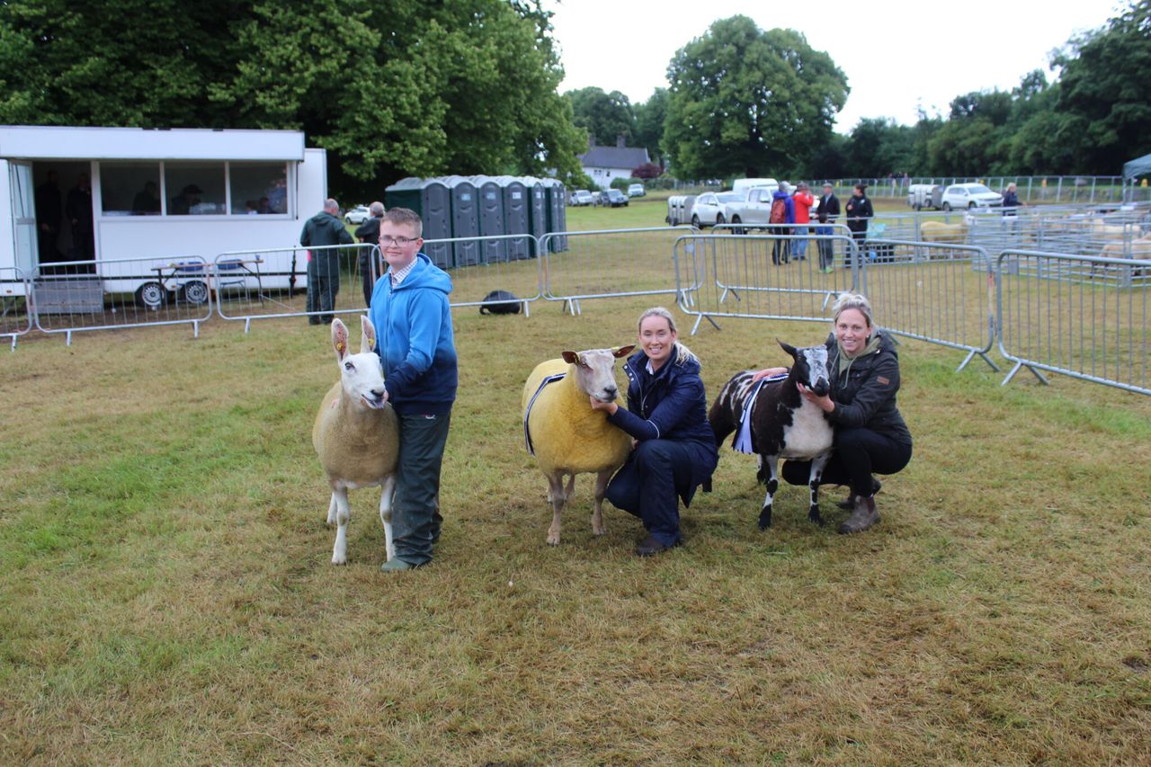 Dutch Spotted hogget carries the day at Castlewellan Show