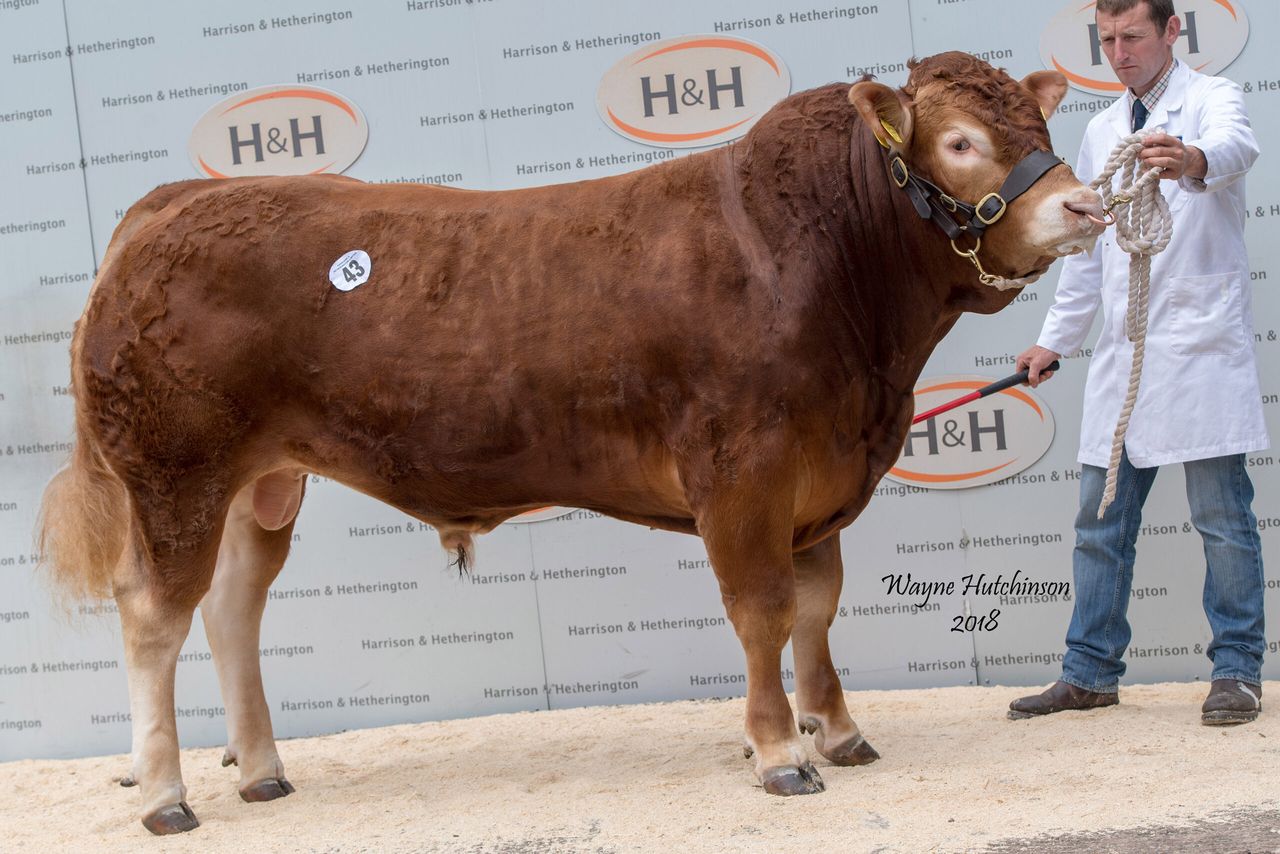 Report: Lim summer sale up by more than £400 on 2017
