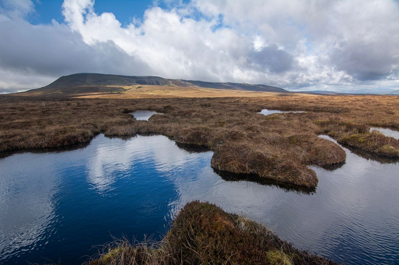 DAERA outlines delivery plan for NI’s first peatland strategy