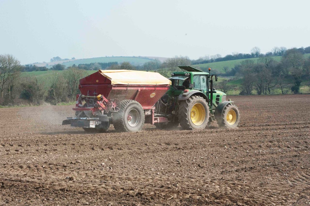 Nitrogen Use Efficiency – optimising uptake in crops