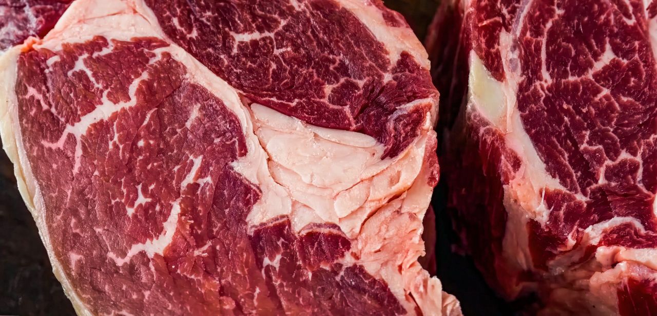 UFU meets Irish MEP on Brazilian beef as EU ban kicks in
