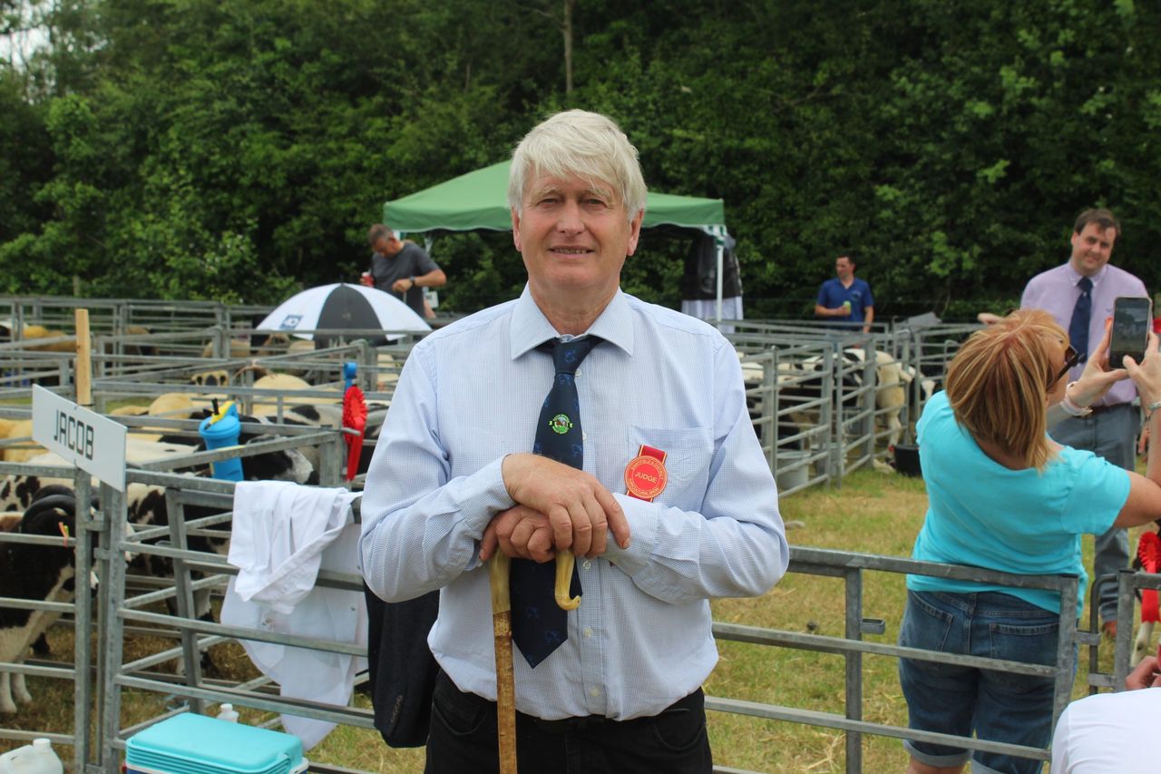 Sheep NI will ‘particularly suit’ visitors from Co. Donegal – NSA