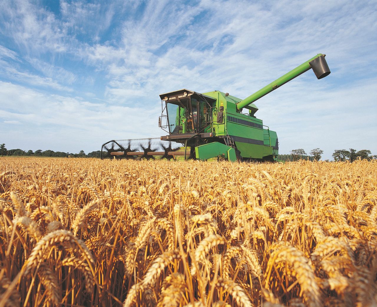 Greening requirements to be scrapped in NI from 2021