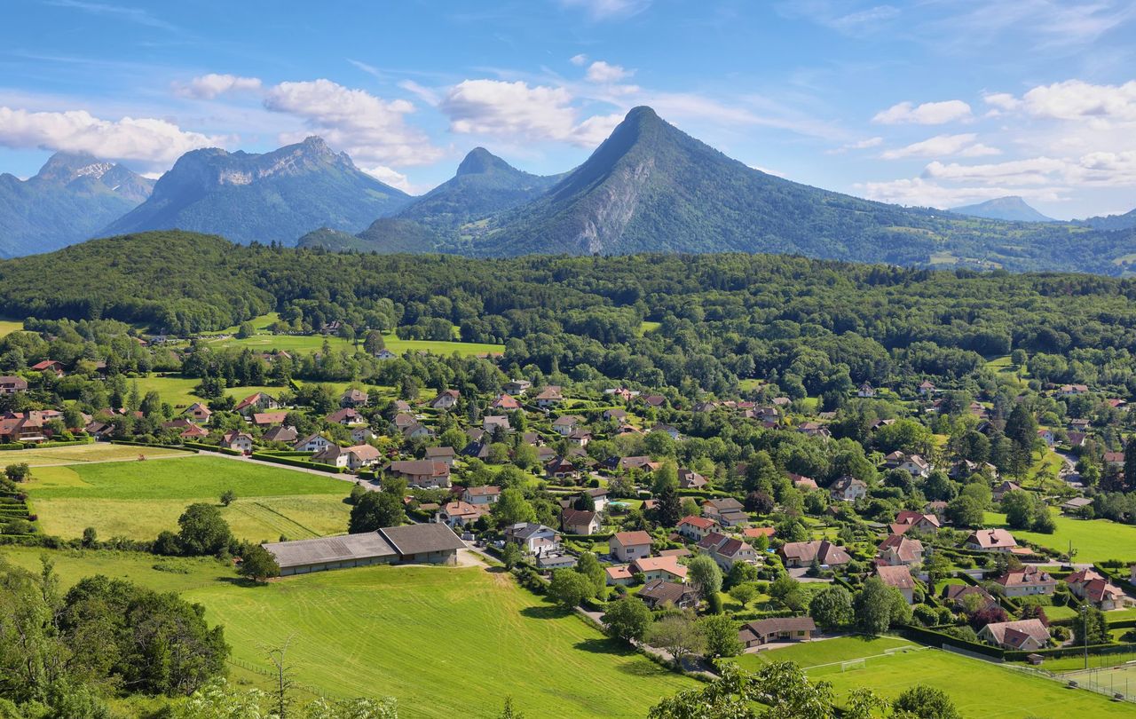 Contagious animal disease detected in France for first time
