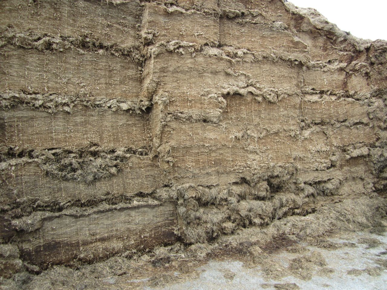 'Silage quality can have a big impact on animal performance'