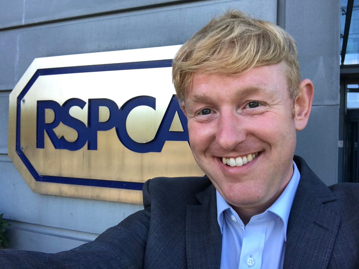 'MPs must follow the Lords vote to ban lower animal welfare imports' - RSPCA