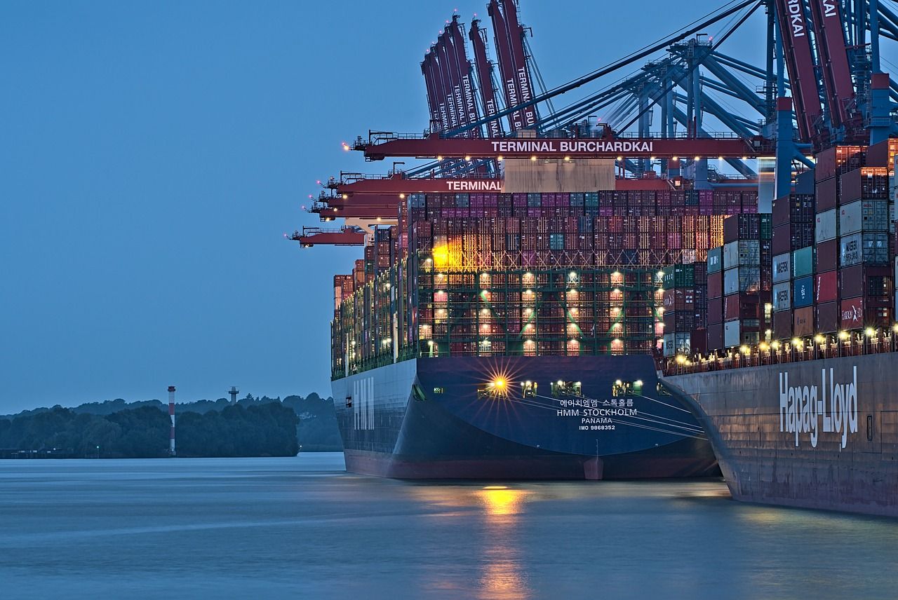 NI vet strike leaving ports and airports at ‘limited capability’