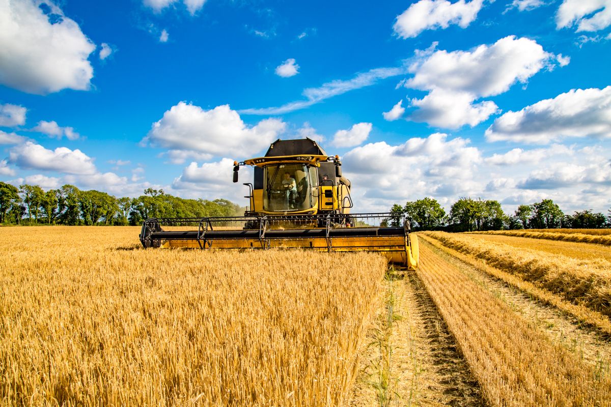 Scottish harvest: Grain quality good but yields mixed and straw short