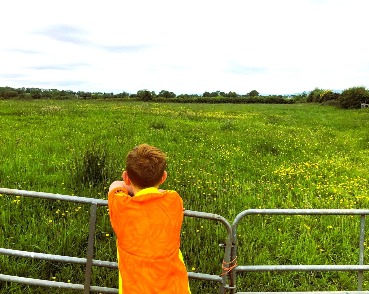 Warmer temperatures and erratic rainfall ‘taking a toll’ on NI farmers – research 