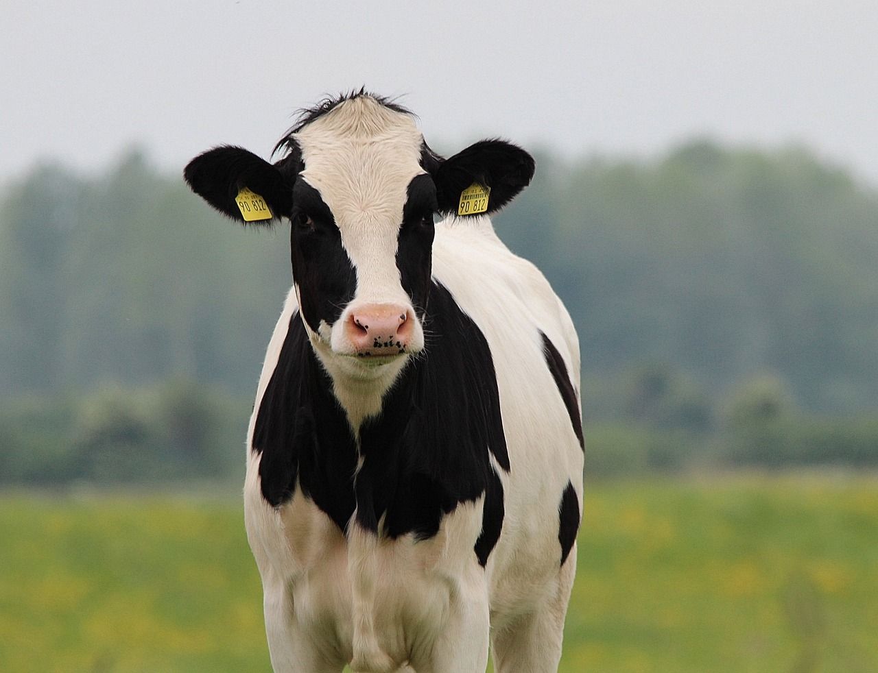 TB strategy review shows trajectory is ‘unsustainable’