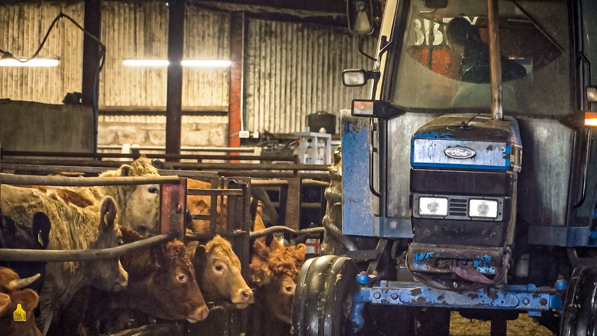 FARM SMART: Removing the paperwork on this 260-head finishing unit in Co. Derry