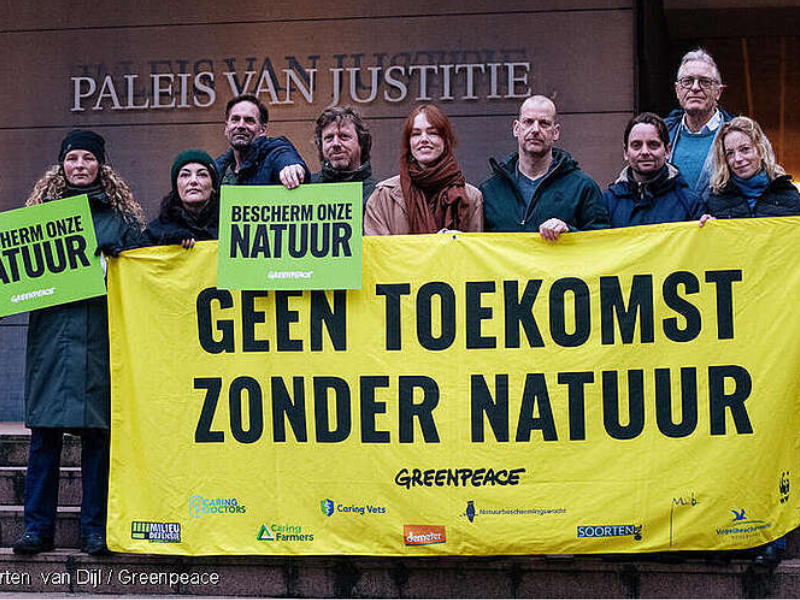 Greenpeace wins nitrogen legal case against Netherlands