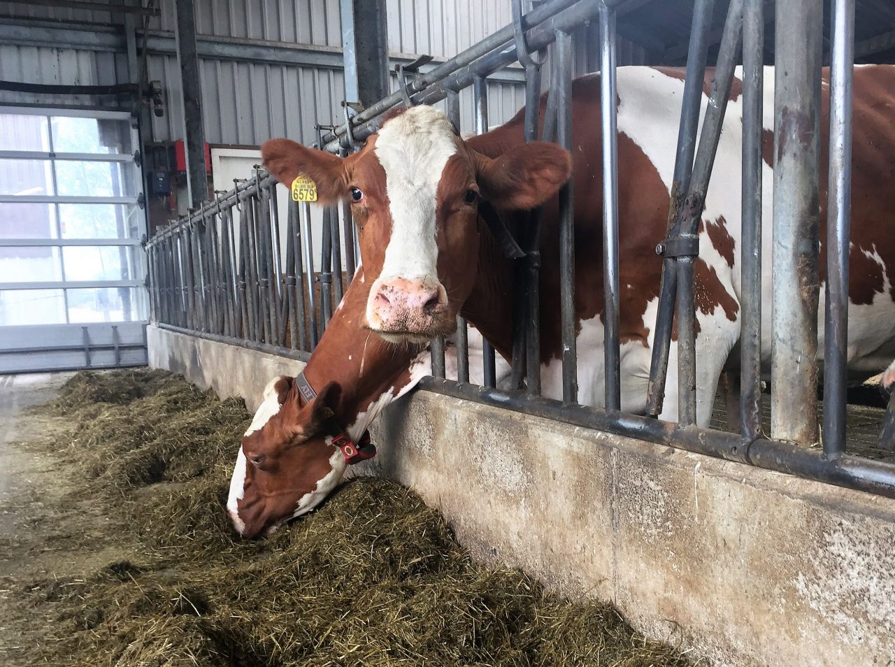 Lely narrows the gap between dairy farmers and consumers