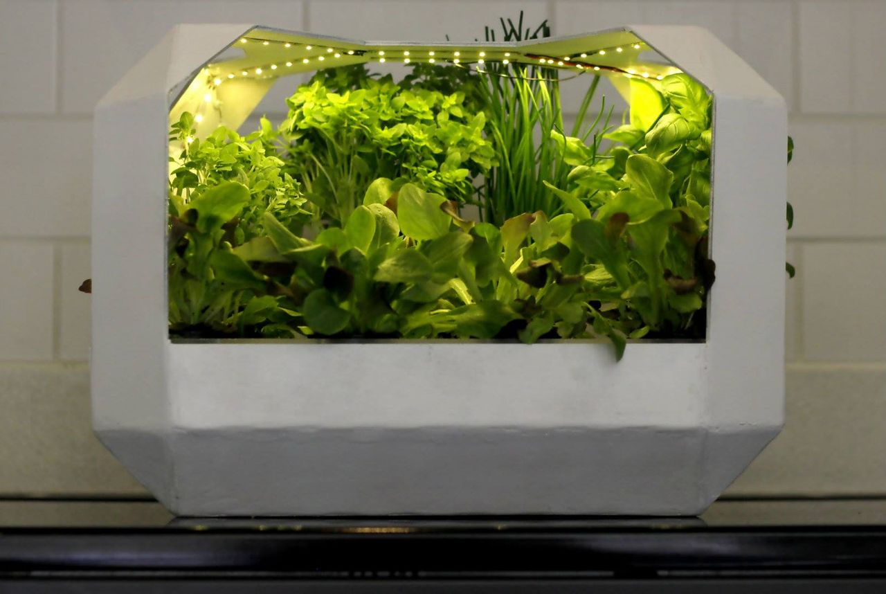 Agri-tech start-up LettUs Grow strikes new partnership