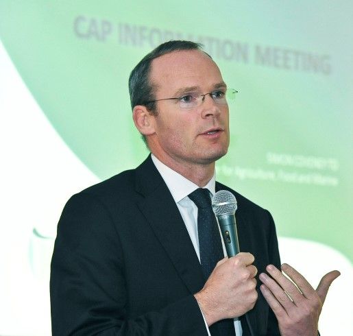 Co-op mergers key for dairy expansion - minister