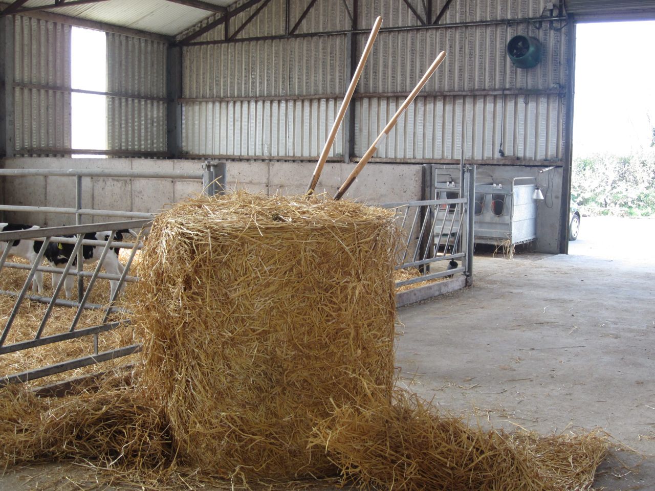 Straw diet warnings following reports of impaction