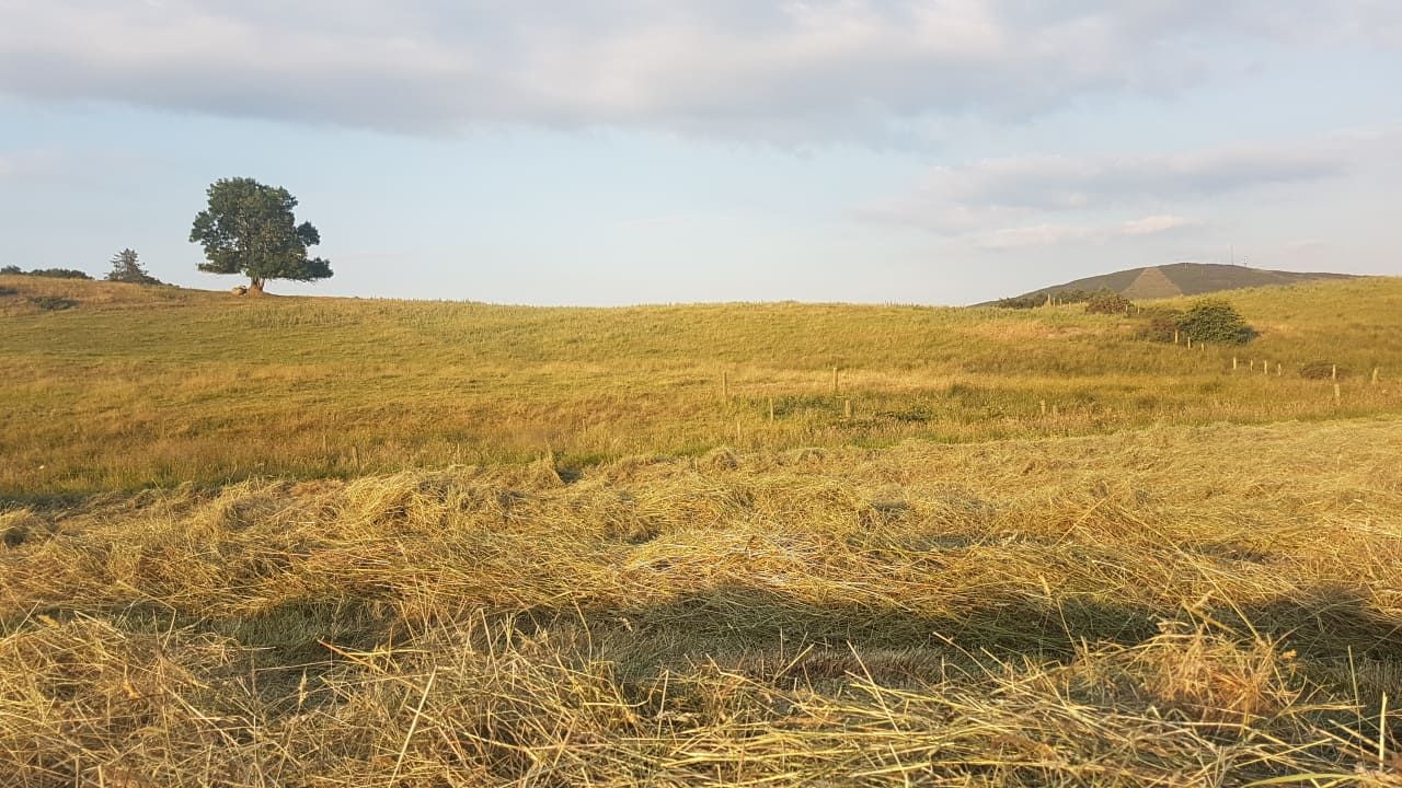 EA: 'Sustained rainfall' in winter needed to prevent 2026 drought in England