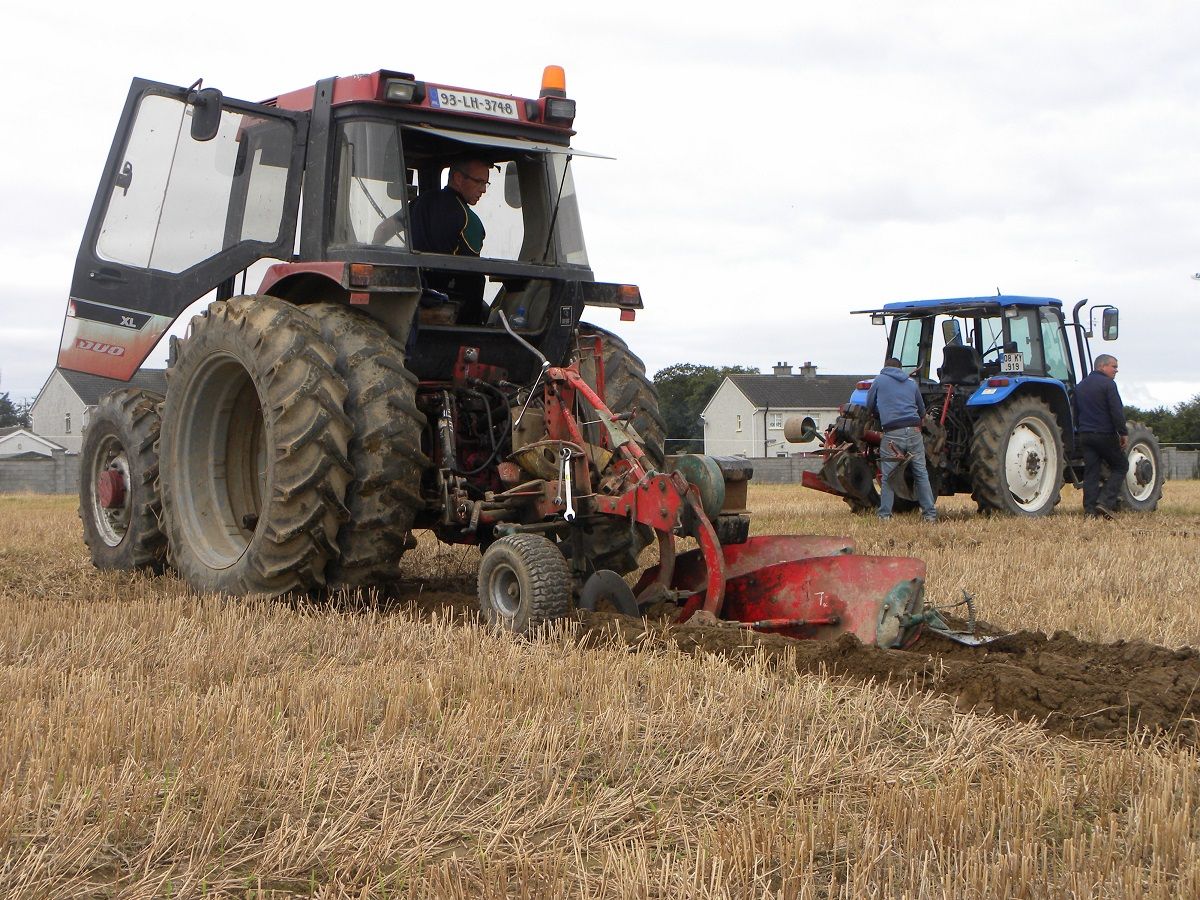 Pics: A round-up of events at Day Two of the Ploughing