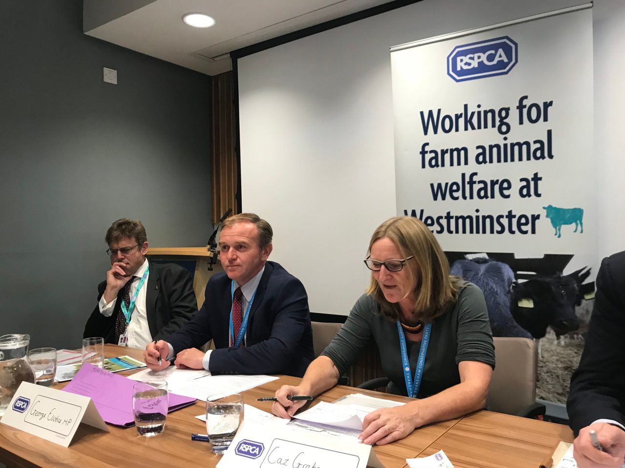 Brexit could put UK's high animal welfare standards at risk
