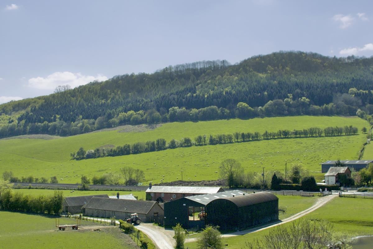 NI farmers may be in a position to receive CAP subsidies until end of 2019