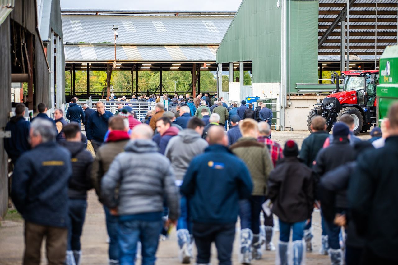 Foyle Farm open day shares interesting tips and advice