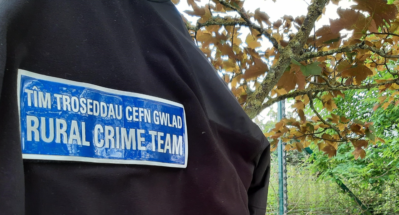 Man arrested following theft of trailers in Flintshire
