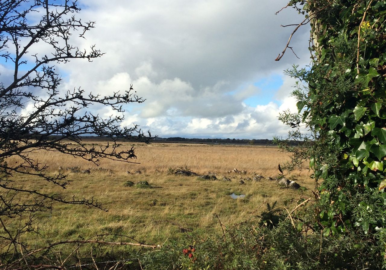Scottish Land Commission appoints new chair and 2 land commissioners