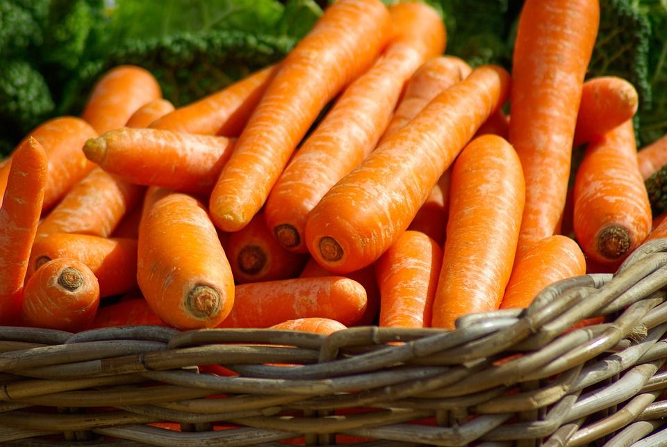UK must double the land used to grow fruit and vegetables - Soil Association