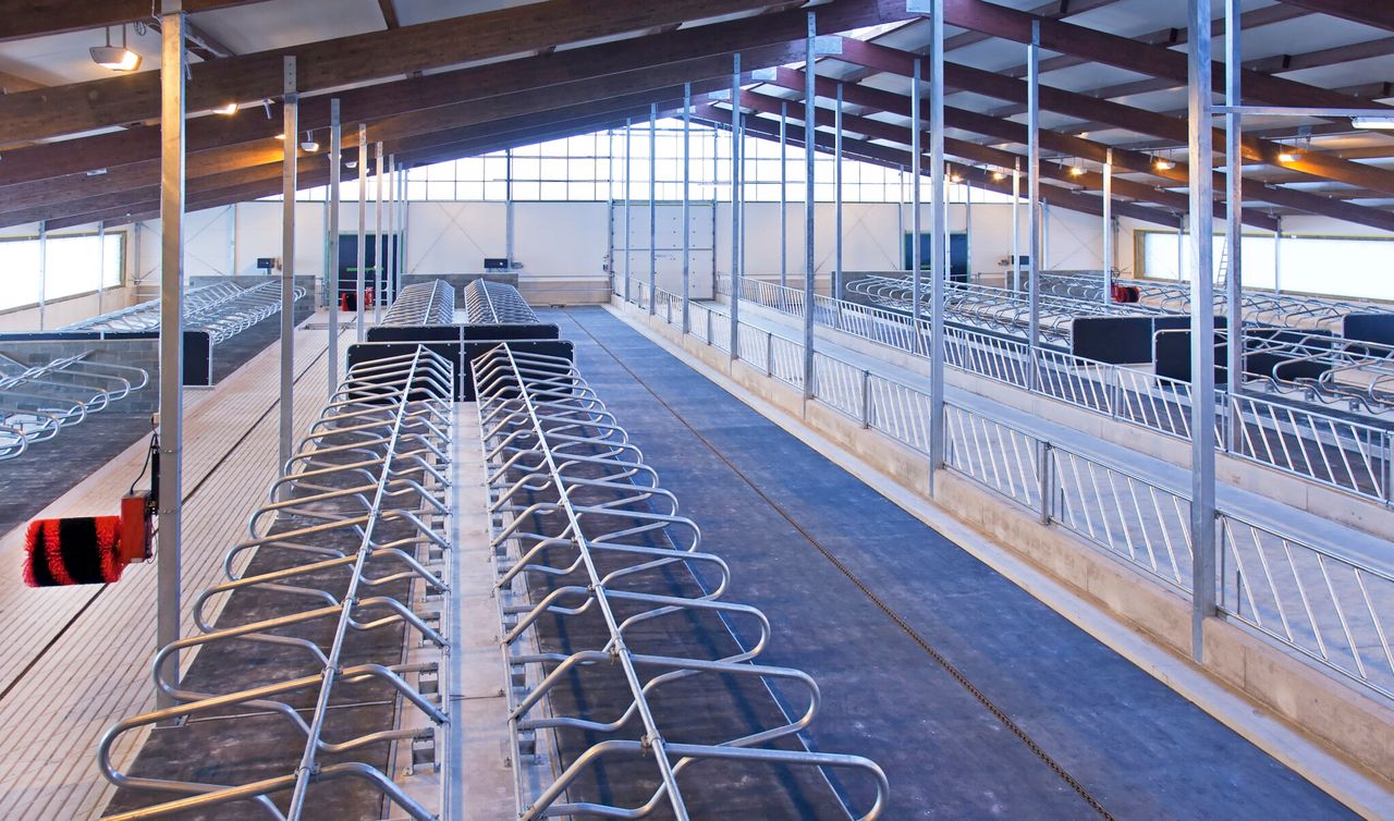 Dairy advice: Preparing sheds, scrapers and cubicles for winter