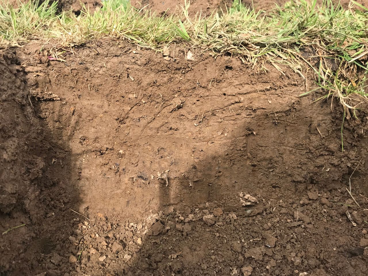 AgriSearch welcomes new NI Soil Nutrient Scheme