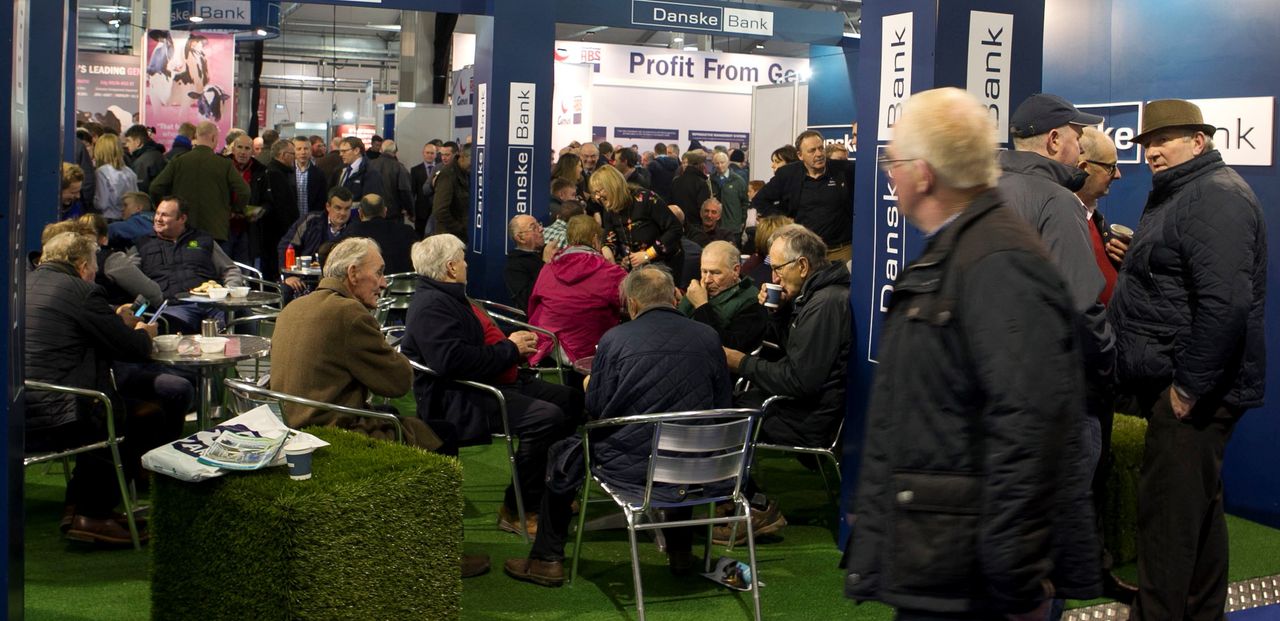 New winter show on the cards for beef breeders