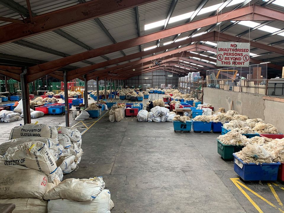 UK wool price to average 32p/kg for 2019-2020 clip