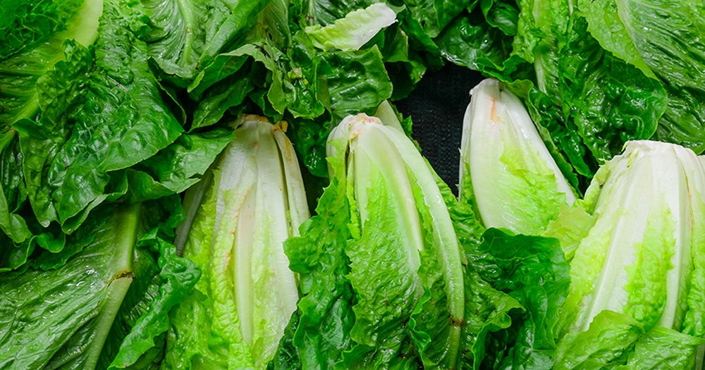 Millions of dollars’ worth of crops being destroyed in California