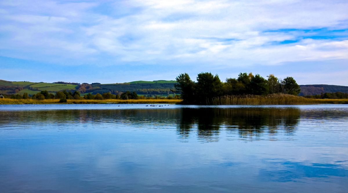 Study: Naturally occurring lake bacteria can help remove plastic pollution