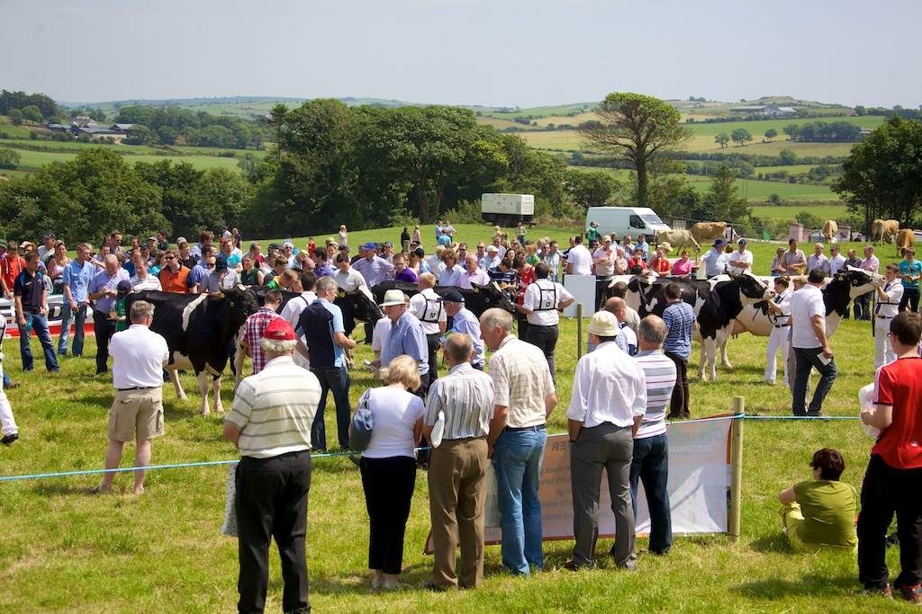 Top awards at IHFA Open Day