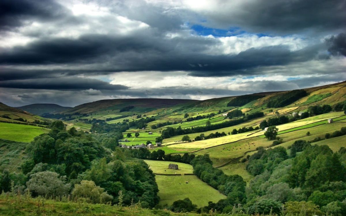 Natural England appoints life peer as new deputy chairman