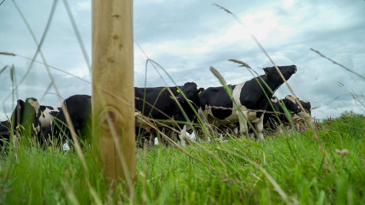 How just 30 minutes on your farm could bolster conservation efforts