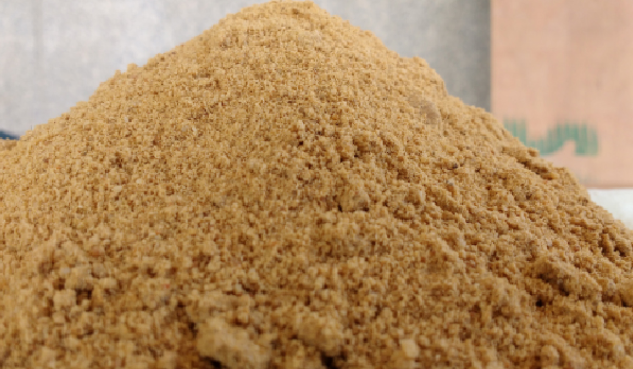 UK urged to act over EU plans to relax animal protein feed ban
