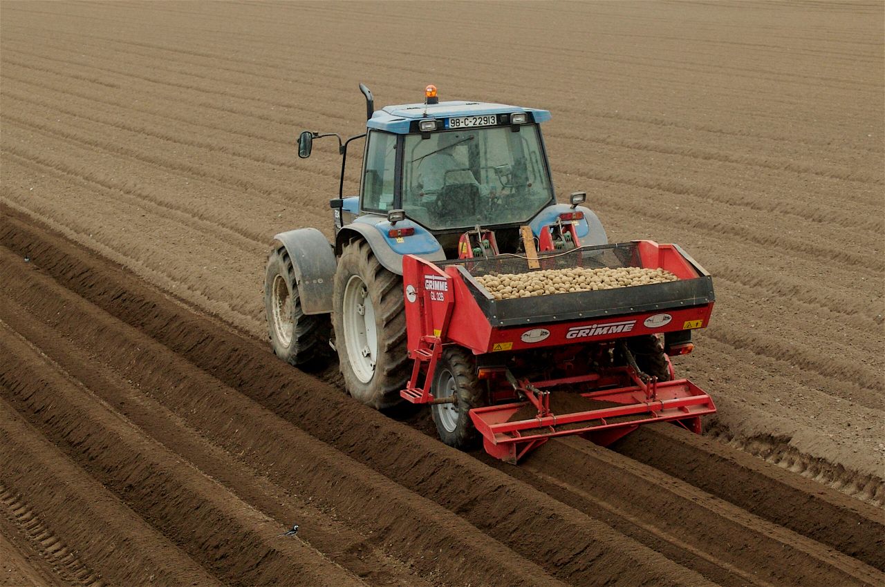 Mixed outlook for GB crops as barley area falls